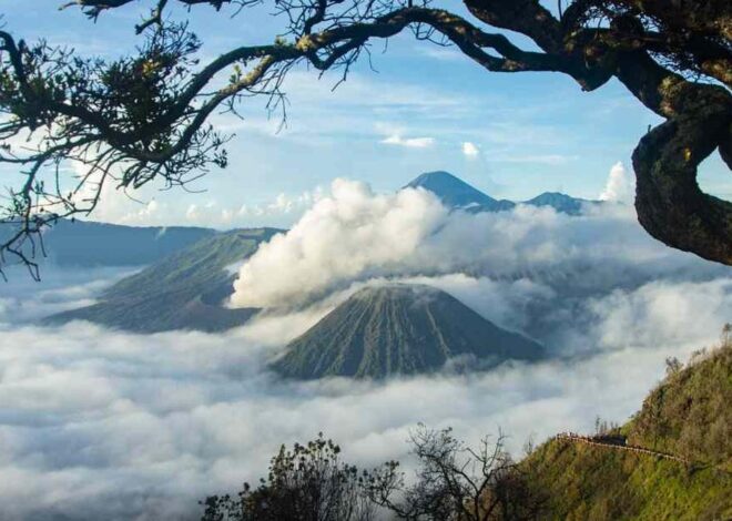 Potensi Ekonomi Kabupaten Probolinggo